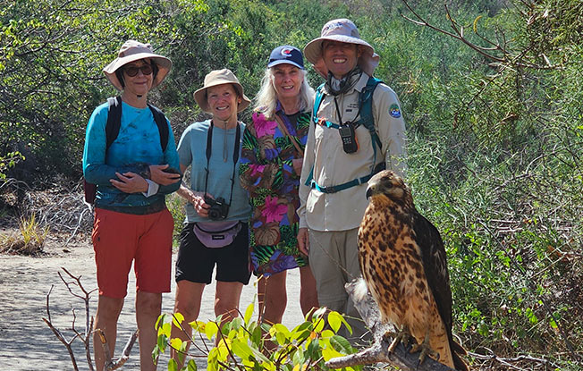 Travelers spotting a Galapagos hawk during a guided tour on the best Galapagos cruise.