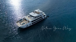 Hermes Mega Catamaran Luxury Cruise - Nature your Way