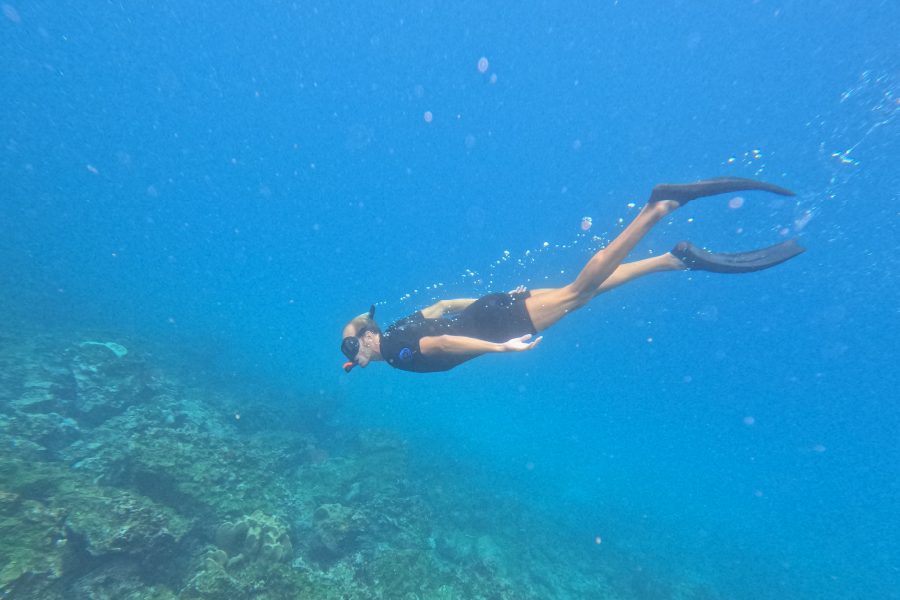 Hermes Galapagos Cruise, Ecuador Galapagos Tours, Ecuador Ultra Luxury Cruise, Ecuador Luxury Tours, Galapagos Islands