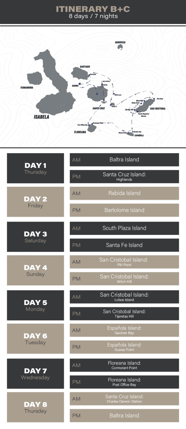 Hermes Galapagos Luxury Cruise Itinerary B + Itinerary C