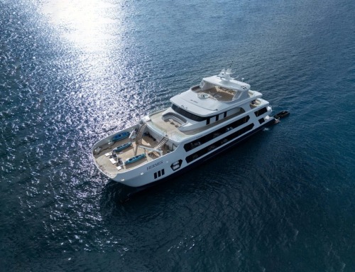 Why We Built Hermes | A New Era of Galapagos Luxury Cruises Begins
