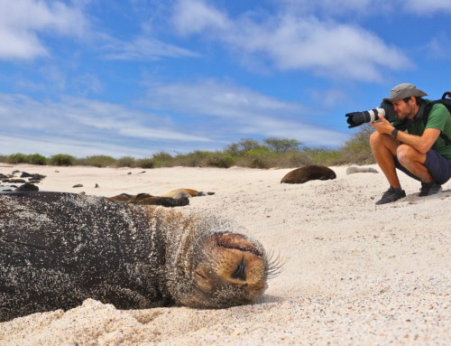 What to Do in the Galapagos Islands: Luxury Adventures Aboard the Hermes