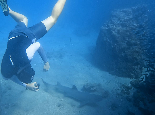 best time visit galapagos islands cool season snorkel