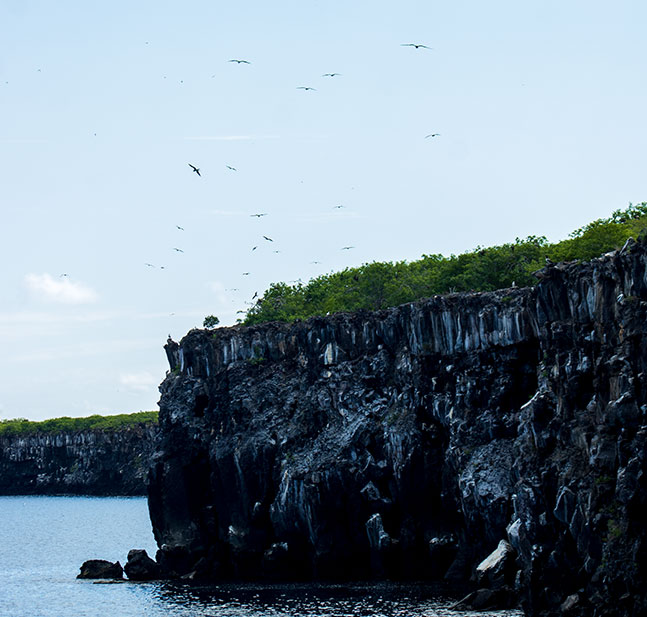 best time visit galapagos islands genovesa
