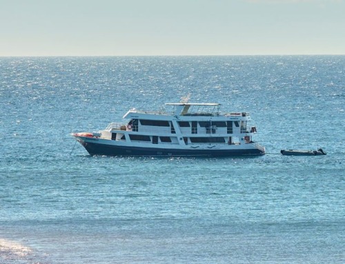 Monserrat Yacht, the Best Galapagos Cruise Option